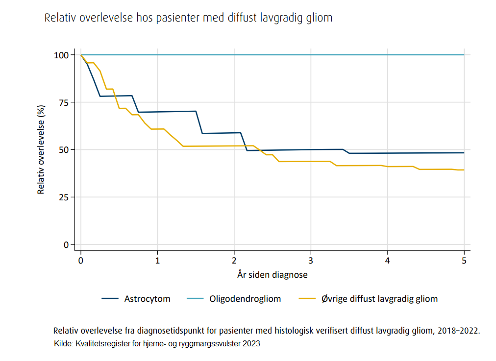 graf_overlevelse_diffust_lavgradig_gliom